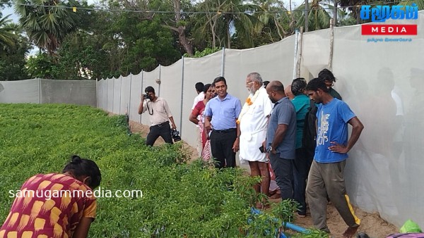 நவீன விவசாய விரிவாக்கல் முறை மூலம் மேற்கொள்ளப்பட்டு வரும் மிளகாய்ச் செய்கையை பார்வையிட்ட டக்ளஸ்! 